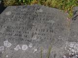 image of grave number 954000